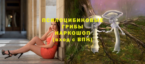 дмт Верея