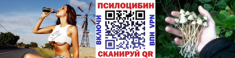 Псилоцибиновые грибы ЛСД ОМГ ОМГ вход Камышин